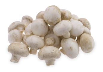 Delicious field mushrooms lie on each other.