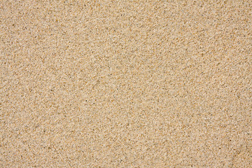 Sand Texture