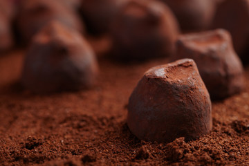 chocolate truffles