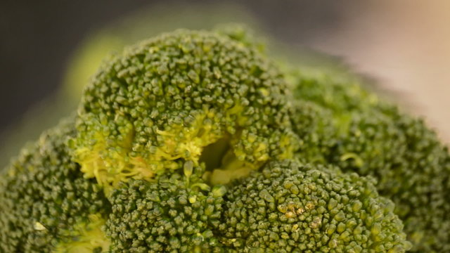Broccoli loop.
