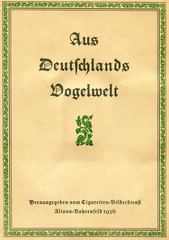 Aged first page of book