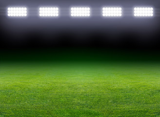 Fototapeta premium Green soccer field