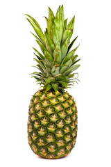Fototapeta premium Single pineapple isolated on white