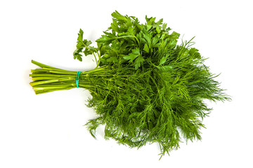 Fresh branches of green dill and Parsley tied isolated