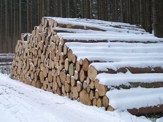 Holzstapel