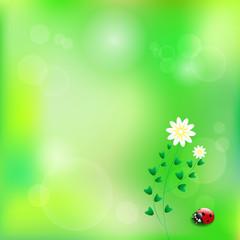 Spring background with flower and ladybug