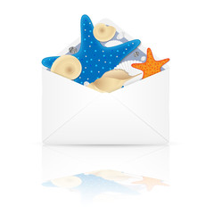 Open envelope with shells and starfishes. Vector illustration.