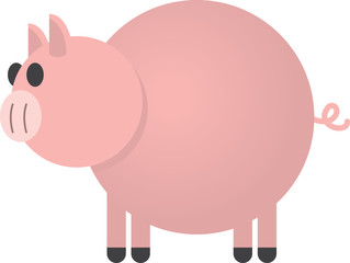 Pink chubby pig standing isolated