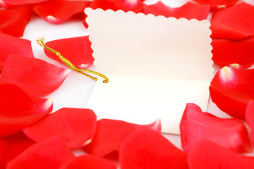 Red rose and a gift box