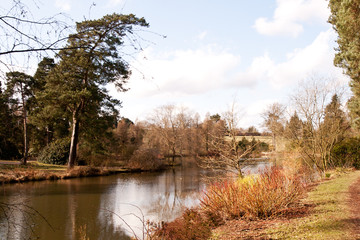 path beside lake with dogwood