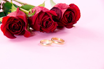 Wedding concept with roses with water drops and wedding rings