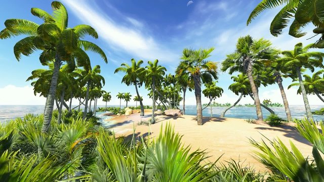 Awesome sunset on Hawaii