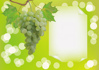 Advertising wine grapes