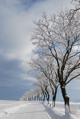 Fototapeta na wymiar Zimowy krajobraz