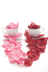 Coffee cup and rose petals