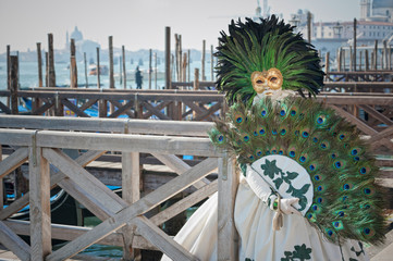 Naklejka premium Venice Carnival