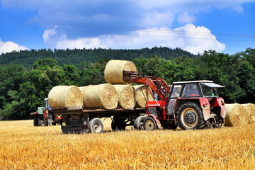 Tractor carrying hay at field in summer day