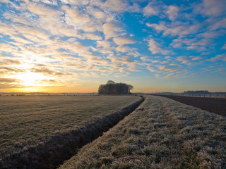 Curved road in winter