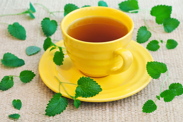 Herbal Tea  with a fresh lemon balm leaves on a table.