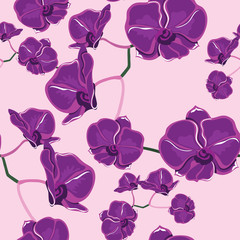 Seamless pattern with orchids, hand-drawing.