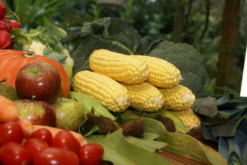 Bio-Obst und Gemüse