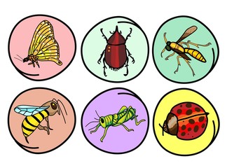A Set of Insects on Round Background