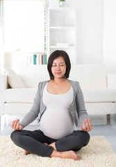Beautiful Pregnant Woman Doing Yoga at Home. Relaxation