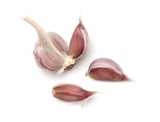 Garlic on a white background