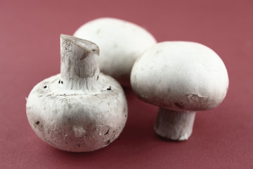 button mushrooms