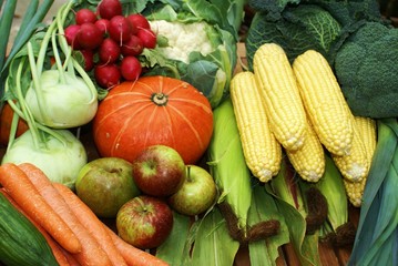 Frisches Bio-Obst und Gemüse
