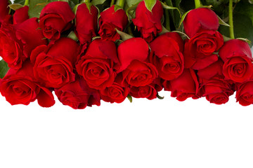 border of fresh red  roses