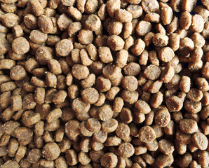 Dog food macro background