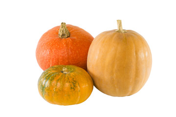 three pumpkin on a white background