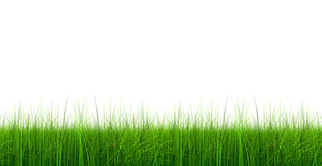 Fototapeta na wymiar High resolution 3d green grass isolated on white
