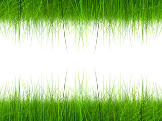 Obraz premium High resolution 3d green grass frame isolated on white