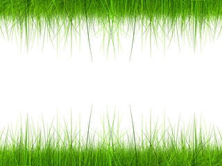 High resolution 3d green grass frame isolated on white