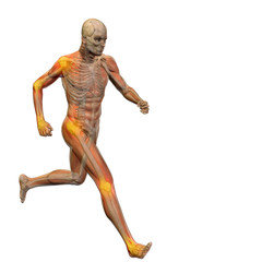 High resolution conceptual 3D human with inflammation
