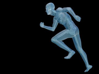High resolution conceptual 3D human for anatomy