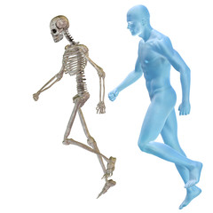 High resolution conceptual human for anatomy,medicine and health