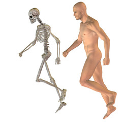 High resolution conceptual human for anatomy,medicine, health
