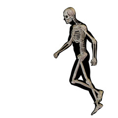 High resolution conceptual human for anatomy,medicine and health