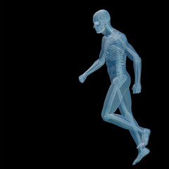 High resolution conceptual 3D human for anatomy