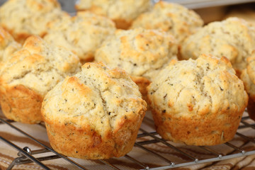 Herb Muffins Cooling