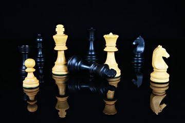 Schach, das königliche Spiel