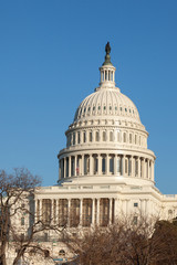 U.S. Capitol Dome Rear Face against Clear Blue Sky