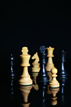 Schach, das k&ouml;nigliche Spiel