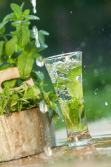 Fresh water with mint