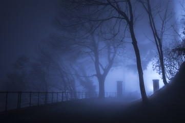 Fog in the darkness