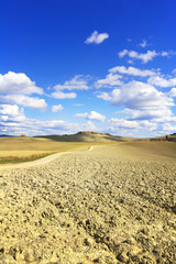 Tuscany, Crete Senesi farmland country landscape, Italy.