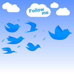 Follow me birds - 49114101